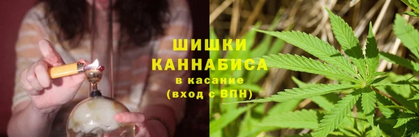 круглые Аркадак