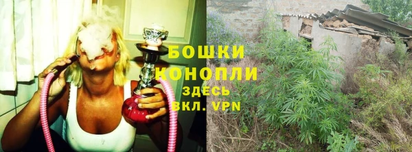 герыч Арсеньев