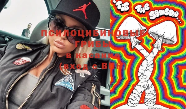 твердый Армянск