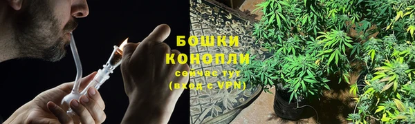 круглые Аркадак
