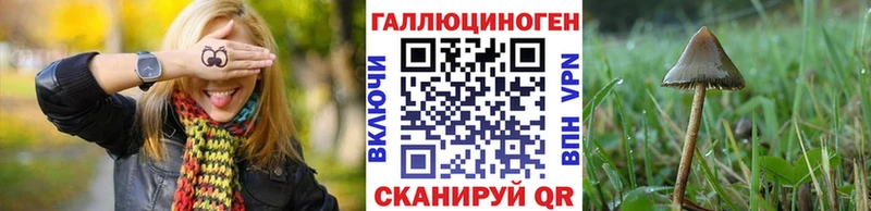 Галлюциногенные грибы Psilocybine cubensis  Мамоново 